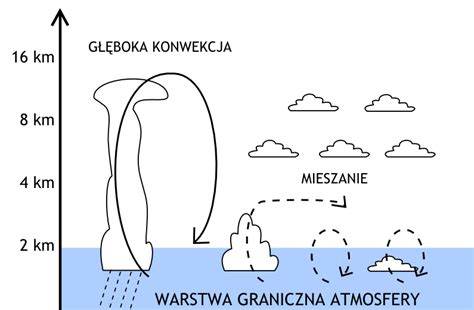 Powszechne Uznanie dla Fenomenu: Wzrost i Upadku Chmury Wietrznej w Wietnamie